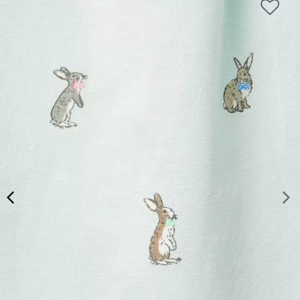 Janie and Jack 3T Boys Pastel Button Down Easter Shirt Spring Outfit - Picture 3 of 8